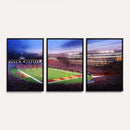 The University of Southern California USC Trojans Football