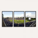 The Duke University Blue Devils Football Team Print - Durham