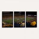 West Virginia Uni Mountaineers Football Team Print - Milan
