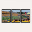 Puskar Stadium Canvas Print Wall Art - Morgantown Print -