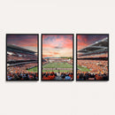 Oregon State Beavers Football Team Print - Corvallis Reser