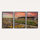 University of Wyoming Cowboys Football Team Print - Laramie