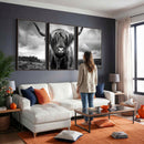Scottish Cow Wall Art Canvas Print | Longhorn Wall Art |