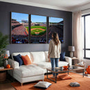 Cincinnati Reds Baseball Canvas Print - American Ball