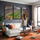 Pittsburgh Steelers Print - Pittsburgh Heinz Field Stadium