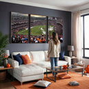 Chicago Bears Soldiers Field Wall Art Canvas Print – Framed