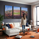 William Brice Stadium Wall Art Canvas Print – Stadium Crowd