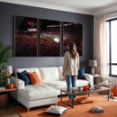 William Brice Stadium Wall Art Print – Baseball Game Room