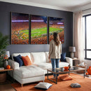Clemson Football Stadium Wall Art Canvas Print, College