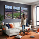 Georgia Bulldogs Stadium Wall Art Canvas Print, Sanford