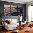 Ole Miss Rebels Vaught Hemingway Stadium Wall Art Canvas