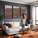 Donald W. Reynolds Razorback Stadium Wall Art Canvas Print –