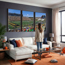 University of Missouri Tigers Football Team Print - Columbia