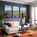 Buffalo Bills NFL Football Team Print - Buffalo Highmark