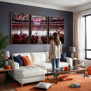 Carolina Hurricanes Ice Hockey Stadium Wall Art, Carolina