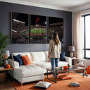 Framed Texas Tech Red Raiders Stadium Canvas, Texas Tech Red