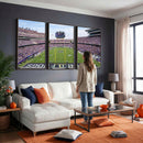 TCU Horned Frogs Football Team Print - Fort Worth Amon G.