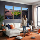 Cincinnati Reds Baseball Canvas Print - American Ball