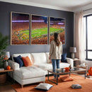 Clemson Football Stadium Wall Art Canvas Print, College