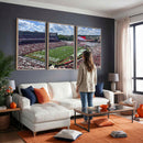 Georgia Bulldogs Stadium Wall Art Canvas Print, Sanford