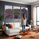 Oklahoma Sooners Gaylord Family Oklahoma Memorial Stadium