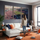 Donald W. Reynolds Razorback Stadium Wall Art Canvas Print –