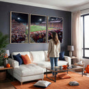 Washington-Grizzly Stadium Canvas Print, American Football
