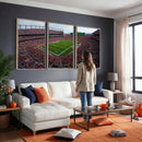 Denver Broncos Football Team Print - Empower Field Mile High