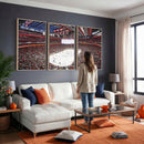 Barton Malow Little Caesars Arena Detroit Wall Art Canvas