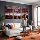 Carolina Hurricanes Ice Hockey Stadium Wall Art, Carolina