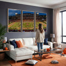 University of Illinois Fighting Illini Football Team Print -