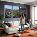 Michigan State Spartans Football Team Art Print - East