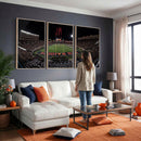 Framed Texas Tech Red Raiders Stadium Canvas, Texas Tech Red