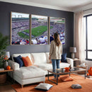 The Texas Christian University TCU Horned Frogs Football