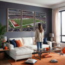 The Temple University Owls Athletics Team Print -