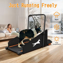 Dog Treadmill For Small To Medium Dogs With LED Display - Black / Orange by HouseOfZazla