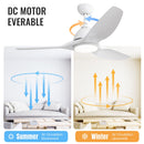 Bredoom Ceiling Fan With Remote Control And LED Light, Blades, Reversible DC Motor For Indoor / Outdoor Use by Unique Piece Furniture