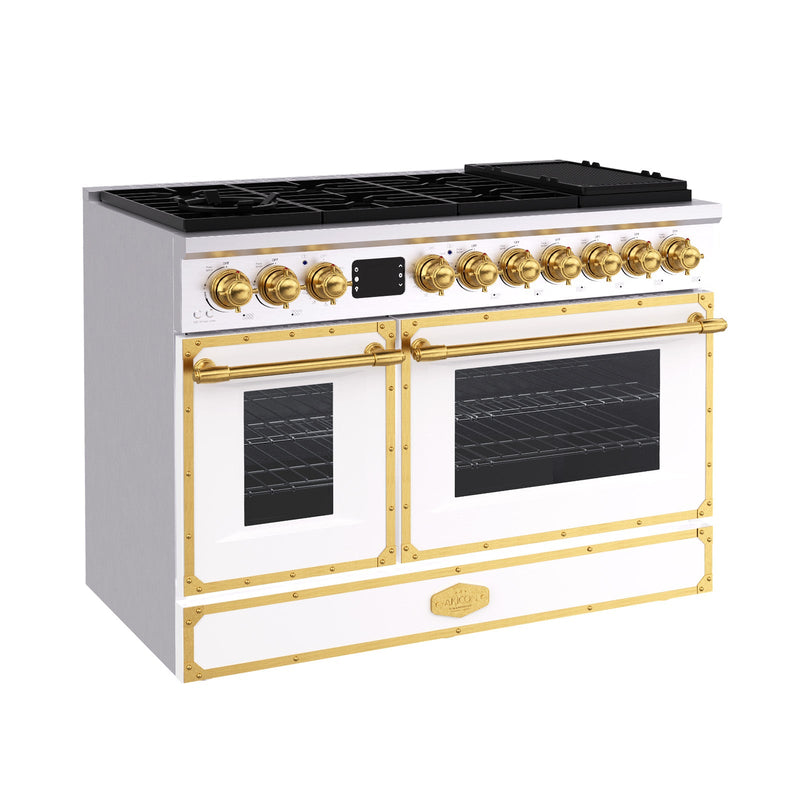 48“ Freestanding Custom Gas Range with 8 Sealed Burners Cooktop, Rapid Convection Oven, Natural Gas/LP Convertible - AK-G48N05A-1