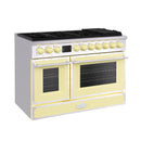 48“ Freestanding Custom Gas Range with 8 Sealed Burners Cooktop, Rapid Convection Oven, Natural Gas/LP Convertible - AK-G48N05A-1