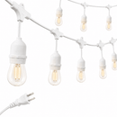 48 Ft Plug-In LED Outdoor String Lights Waterproof- Hanging, Dimmable 2W Vintage Edison Bulbs