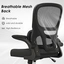 Ergonomic Mesh Office Chair with Lumbar Support