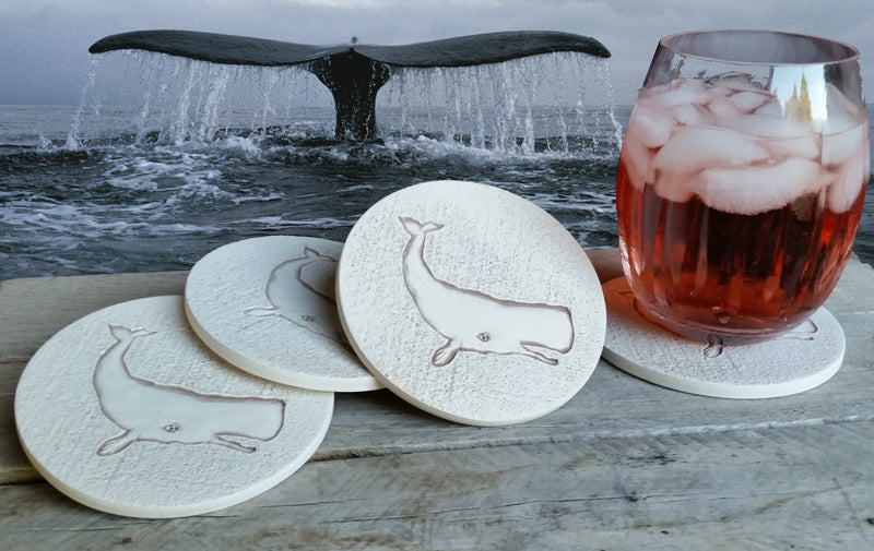 Whale Drink Coasters, installed in a room