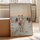 Fluffy Pony in Winter Herd