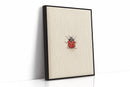 Tiny Ladybug on Paper