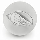 Junonia Shell Drink Coasters