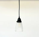 Clear And Frost Fan Ribbed Scallop Pendant Light/Wall Sconce