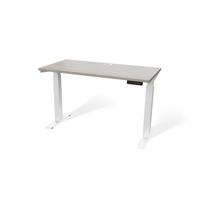 Atlas 48" Motorized Height Adjustable Standing Desk
