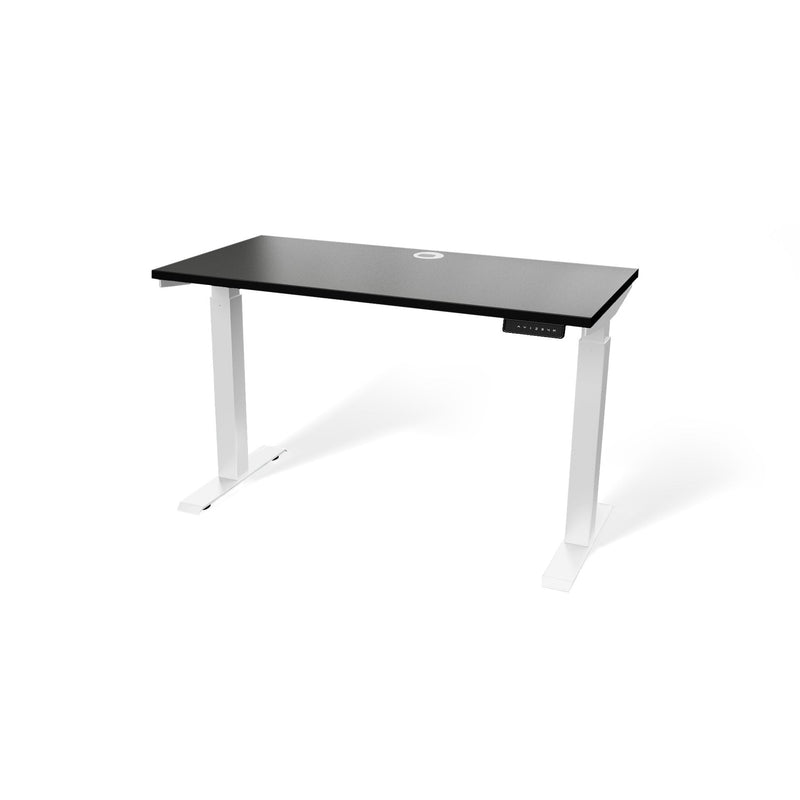 Atlas 48" Motorized Height Adjustable Standing Desk