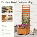 48 Inch Wood Raised Garden Bed with Trellis with Drainage Holes-Natural by LJGDeals