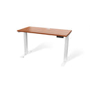 Atlas 48" Motorized Height Adjustable Standing Desk